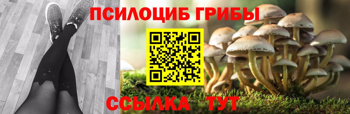 Первоуральск  Галлюциногенные грибы мицелий  Вход с VPN  Псилоцибиновые грибы GOLDEN TEACHER 